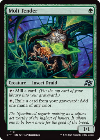 MTG Singles - All Products  Tagged "Insect Druid"