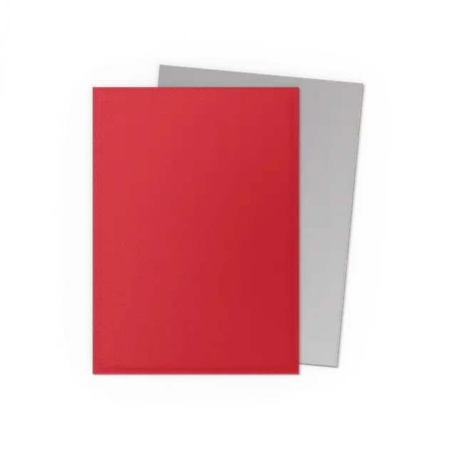 Dragon Shield DUAL Matte Standard Sleeves 100ct