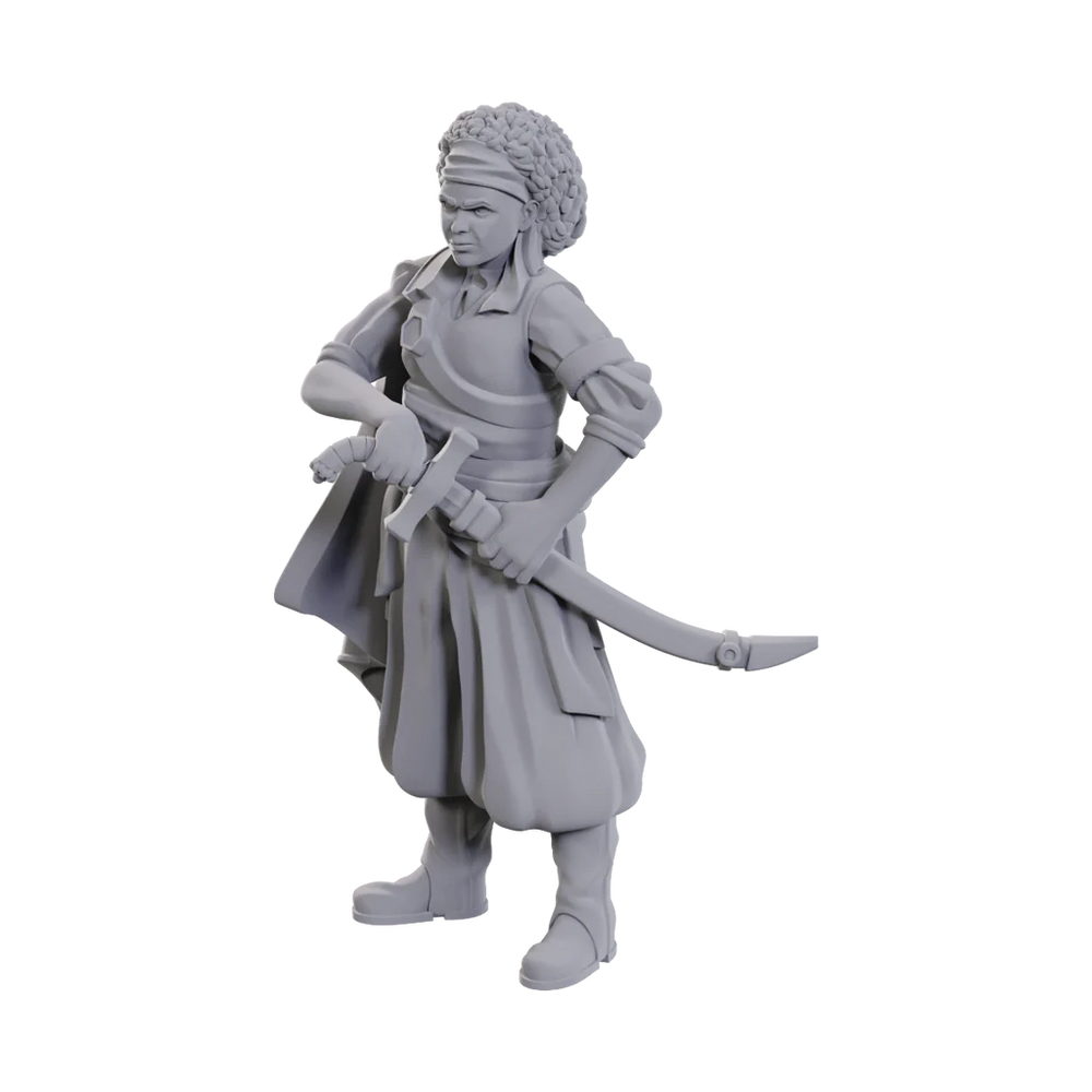 D&D Miniatures: Ansalon Human Rogue