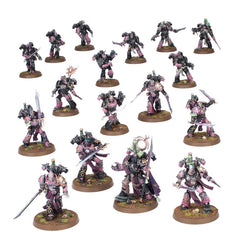 Warhammer 40K: Combat Patrol (Emperor's Children)