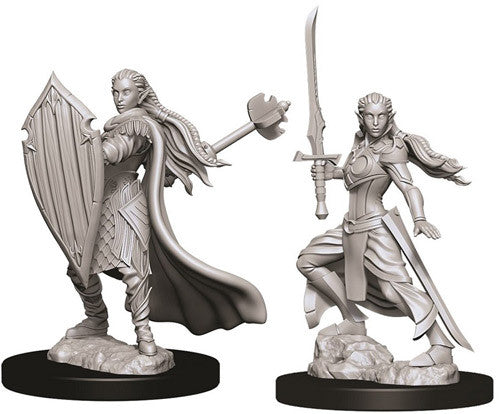 Unpainted D&D Miniature: Elf Paladin