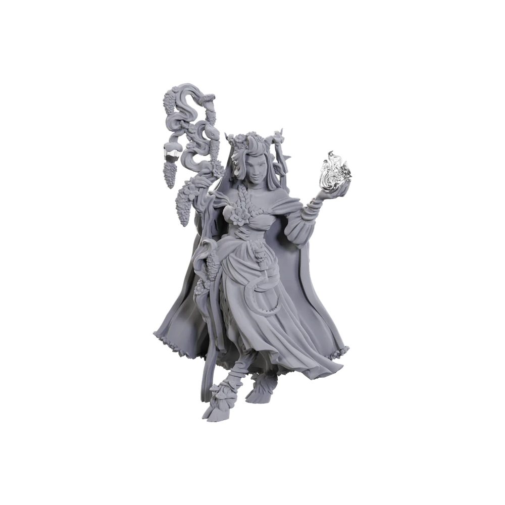D&D Miniatures: Fearne Calloway & Mister (Critical Role)