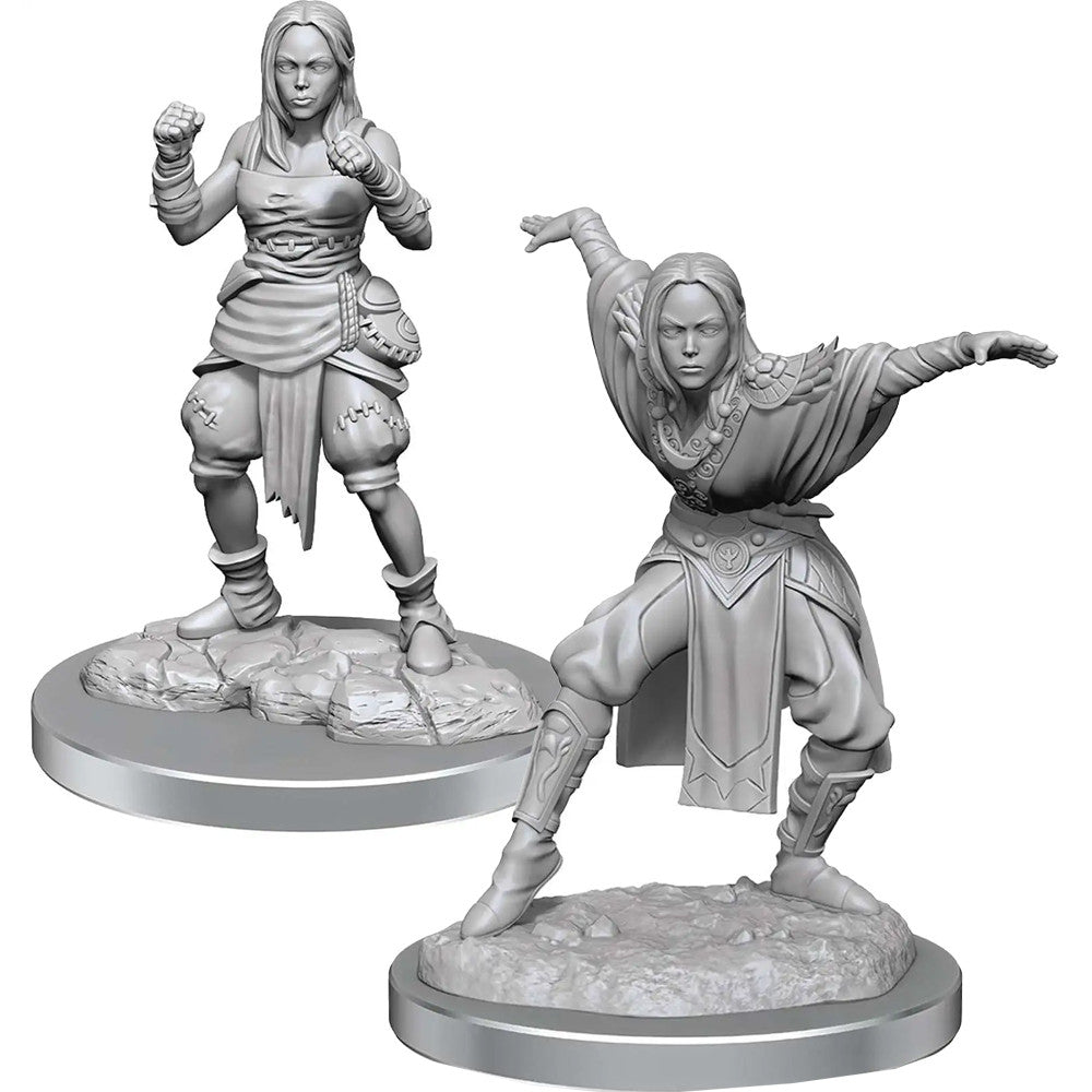 Unpainted D&D Miniature: Half-Elf Monk Female