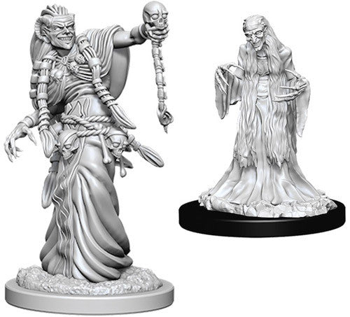 Unpainted D&D Miniature: Green Hag & Night Hag