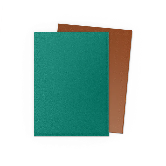 Dragon Shield DUAL Matte Standard Sleeves 100ct