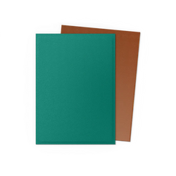 Dragon Shield DUAL Matte Standard Sleeves 100ct