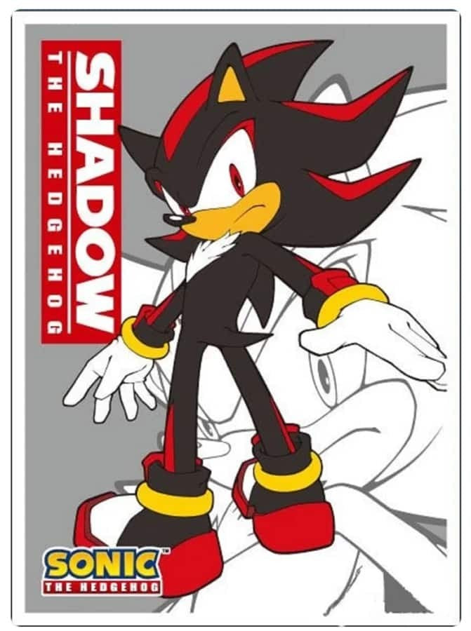 ENSKY CARD SLEEVES: SONIC THE HEDGEHOG