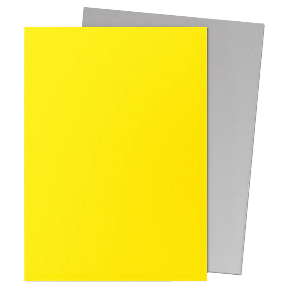 Dragon Shield DUAL Matte Standard Sleeves 100ct