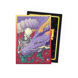 Dragon Shield Art Standard Sleeves 100ct