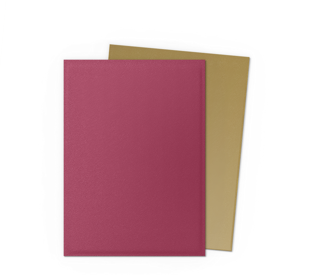 Dragon Shield DUAL Matte Standard Sleeves 100ct