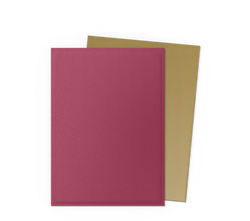 Dragon Shield DUAL Matte Standard Sleeves 100ct
