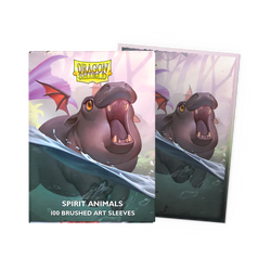 Dragon Shield Art Standard Sleeves 100ct