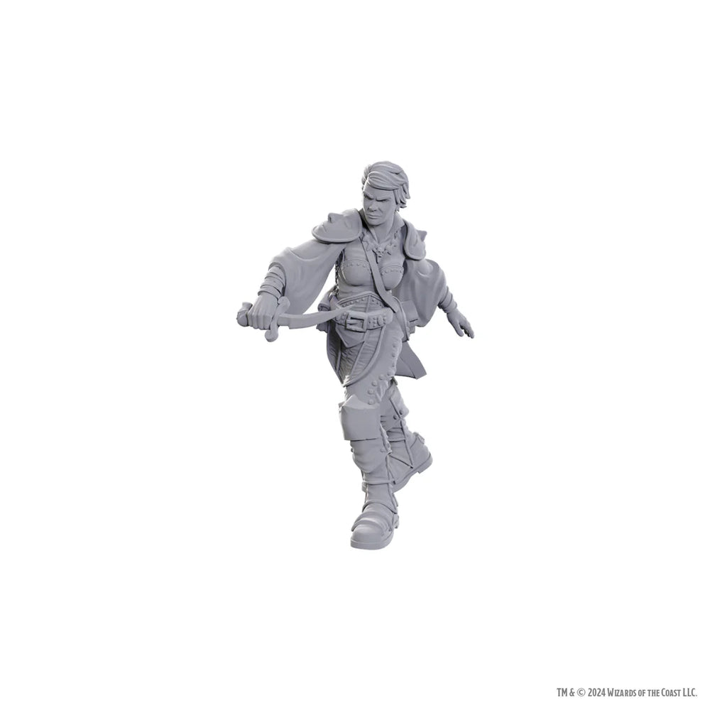 Swashbuckler [D&D Mini]