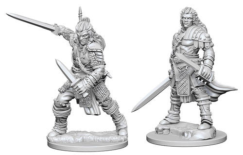 Male Human Fighter