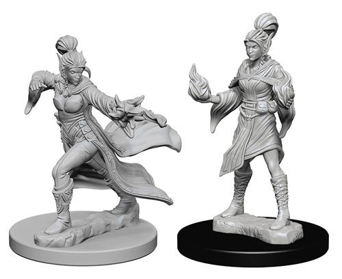 Female Elf Sorcerer