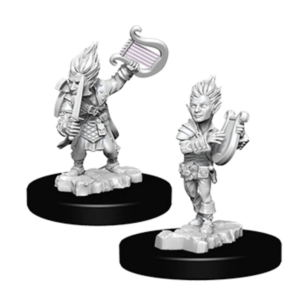 Male Gnome Bard