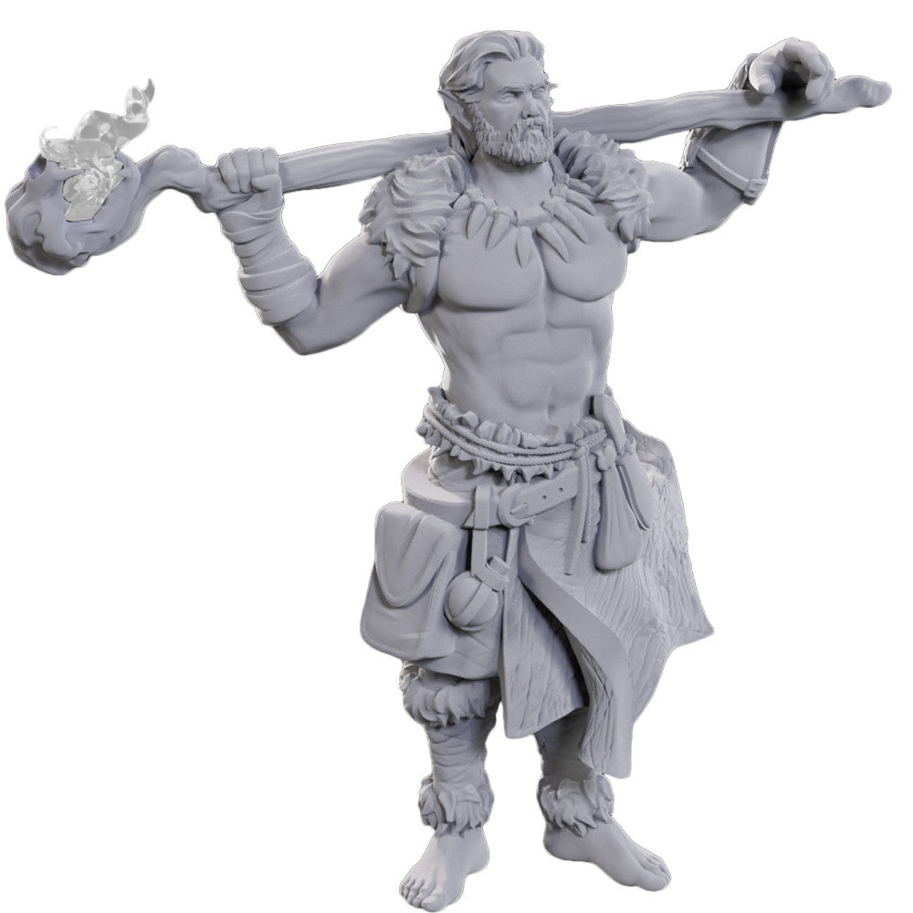Archdruid & Martial Arts Adept [D&D Mini]