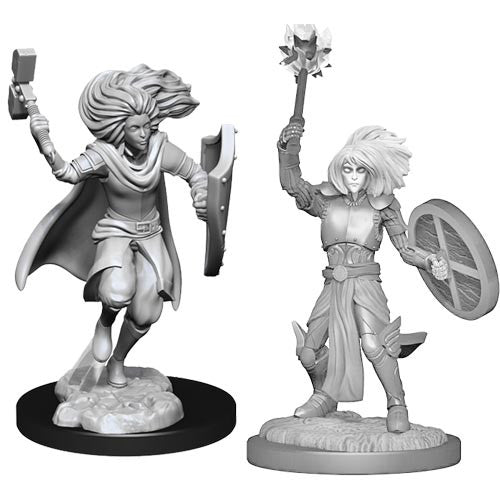 Unpainted D&D Miniature: Changeling Cleric