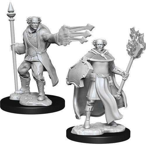 Unpainted D&D Miniature: Multiclass Cleric+Wizard