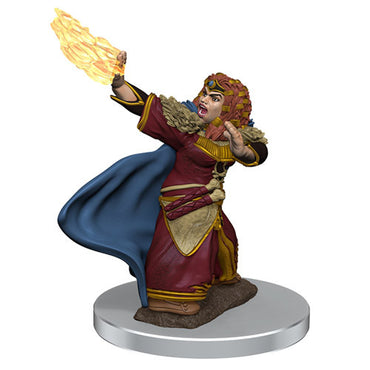 Premium Painted D&D Miniature: Dwarf Wizard