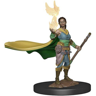 Premium Painted D&D Miniature: Elf Druid