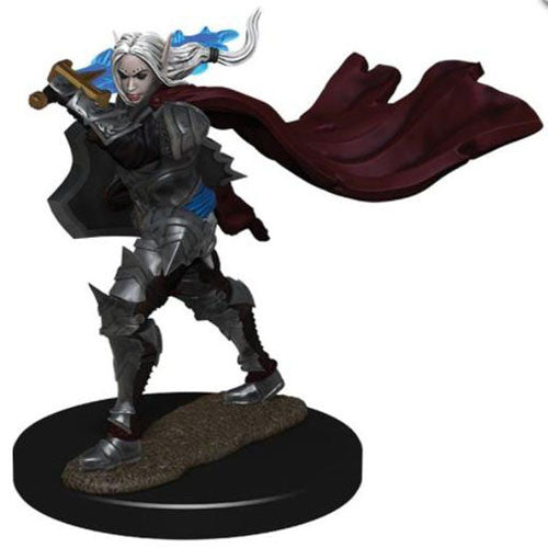 Female Elf Champion Premium Miniature