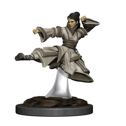 Prepainted Premium D&D Miniature: Human Monk