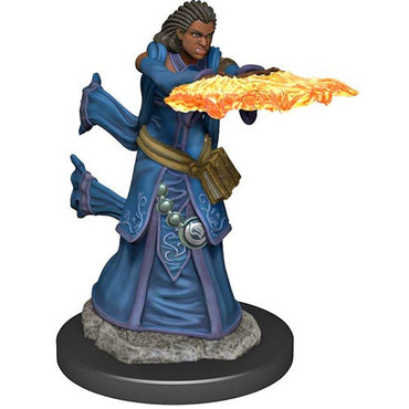 Premium Painted D&D Miniature: Human Wizard