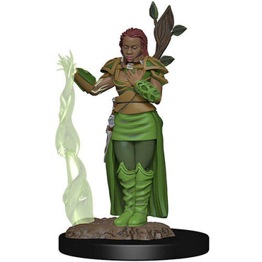 Premium Painted D&D Miniature: Human Druid