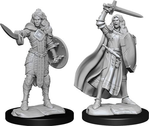 Unpainted Pathfinder Miniature: Human Champion
