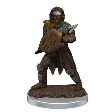 Premium Painted D&D Miniature: Human Fighter