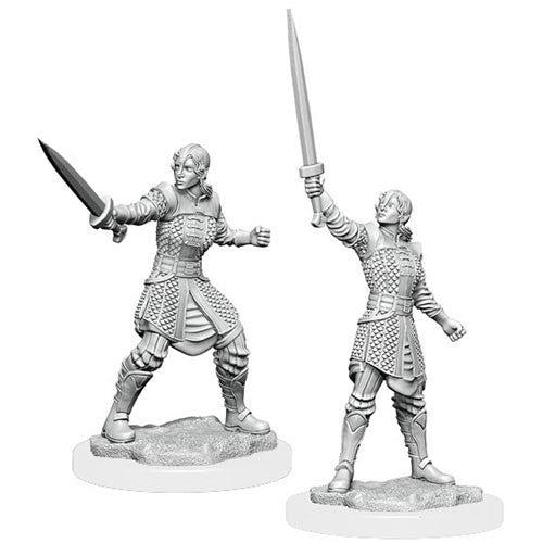 Critical Role Miniature: Human Dwendalian Empire Fighter