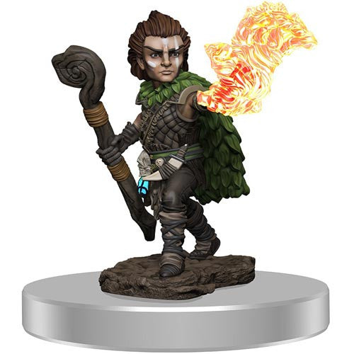 Prepainted Premium Pathfinder Battles Miniature: Male Gnome Druid