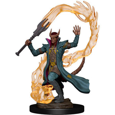 Premium Painted Miniature: Male Tiefling Sorcerer