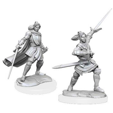 Critical Role Miniature: Half-Elf Xhorhas Paladin