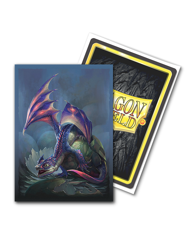 Dragon Shield Art Standard Sleeves 100ct